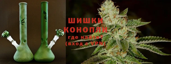 СК Покачи