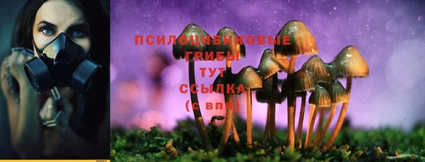 СК Покачи