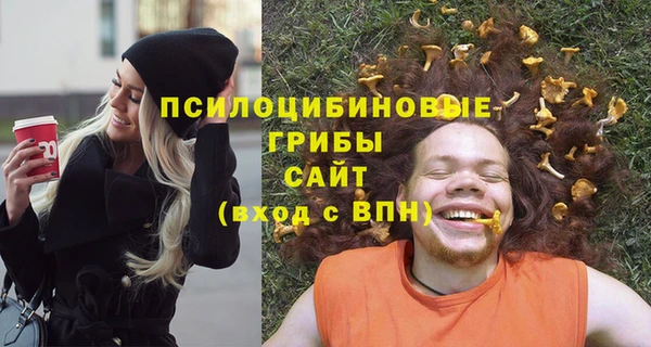 амф Алексеевка