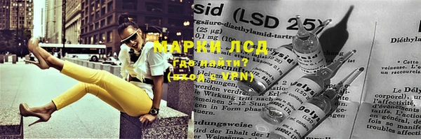 СК Покачи