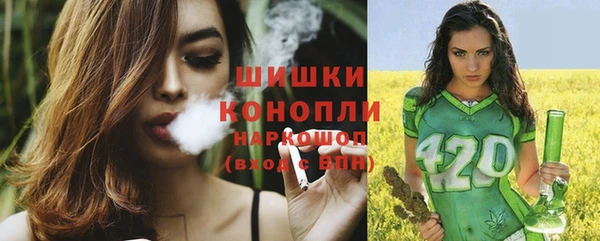 СК Покачи