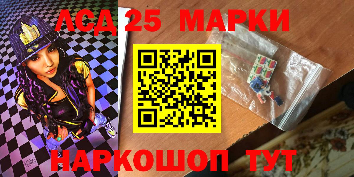 Псилоцибиновые грибы Старая Русса