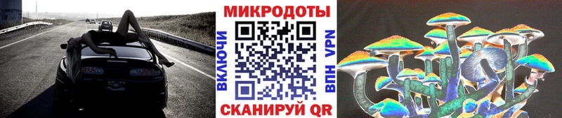 даркнет сайт  kraken ССЫЛКА  Галлюциногенные грибы Psilocybine cubensis  Старая Русса 