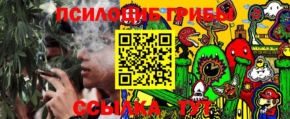 Псилоцибиновые грибы мухоморы Старая Русса