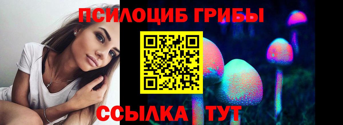 Псилоцибиновые грибы мицелий  Старая Русса 