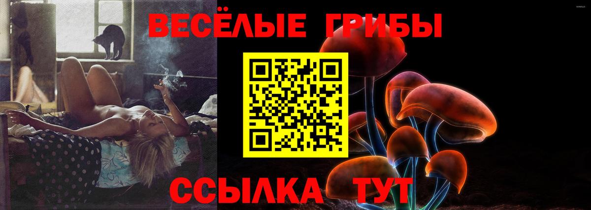 Галлюциногенные грибы MAGIC MUSHROOMS  Галлюциногенные грибы прущие грибы  купить   Старая Русса  Вход с VPN 