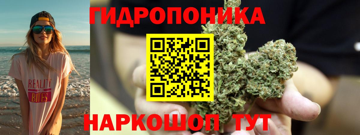 Бошки Шишки SATIVA & INDICA  Старая Русса  Шишки марихуана SATIVA & INDICA  Конопля OG Kush 